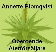 Annette Sonja Blomqvist