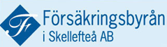 Försäkringsbyrån i Skellefteå AB